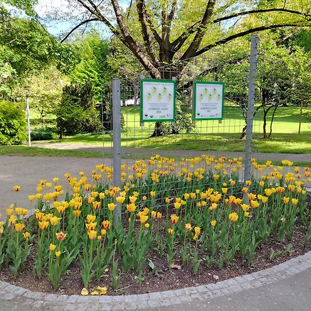 Wohnung In Leoben Zentrum Zwischen Hauptplatz Und Stadtpark ภายนอก รูปภาพ