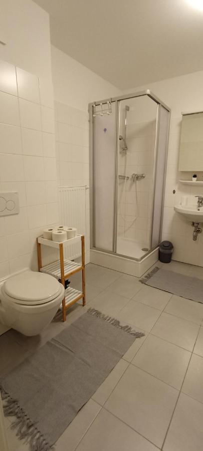 Wohnung In Leoben Zentrum Zwischen Hauptplatz Und Stadtpark ภายนอก รูปภาพ
